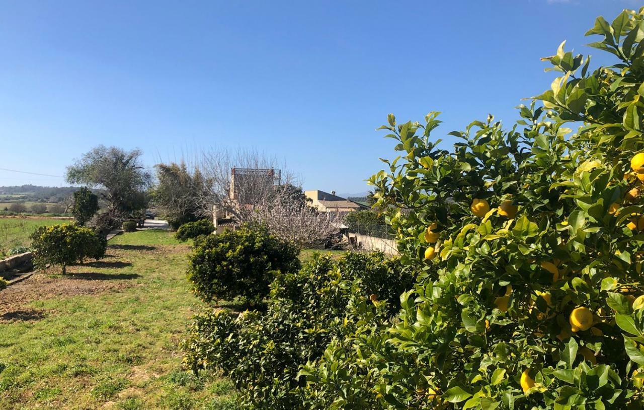 Son Roig ,lugar idílico,en el corazón de Mallorca María de la Salud Exterior foto