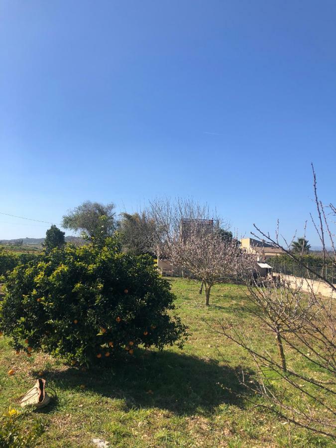 Son Roig ,lugar idílico,en el corazón de Mallorca María de la Salud Exterior foto